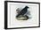 Raven, 1863-79-Raimundo Petraroja-Framed Giclee Print