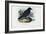 Raven, 1863-79-Raimundo Petraroja-Framed Giclee Print