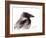 Raven 2-Suren Nersisyan-Framed Art Print