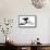 Raven Bird Silhouette-Cattallina-Framed Stretched Canvas displayed on a wall