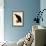 Raven, Corvus Corax-Edward Lear-Framed Giclee Print displayed on a wall
