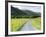 Raven Crag, Langdale Pikes, Lake District National Park, Cumbria, England, United Kingdom, Europe-Jeremy Lightfoot-Framed Photographic Print