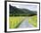 Raven Crag, Langdale Pikes, Lake District National Park, Cumbria, England, United Kingdom, Europe-Jeremy Lightfoot-Framed Photographic Print