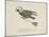 Raven Flying On a Broom, Nonsense Botany Animals and Other Poems Written and Drawn by Edward Lear-Edward Lear-Mounted Giclee Print