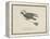 Raven Flying On a Broom, Nonsense Botany Animals and Other Poems Written and Drawn by Edward Lear-Edward Lear-Framed Premier Image Canvas