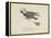 Raven Flying On a Broom, Nonsense Botany Animals and Other Poems Written and Drawn by Edward Lear-Edward Lear-Framed Premier Image Canvas