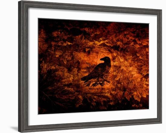 Raven in the Acanthus-Katherine Sanderson-Framed Photographic Print