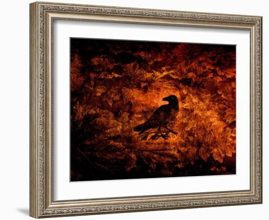 Raven in the Acanthus-Katherine Sanderson-Framed Photographic Print