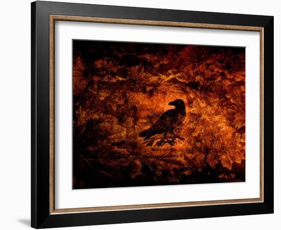 Raven in the Acanthus-Katherine Sanderson-Framed Photographic Print