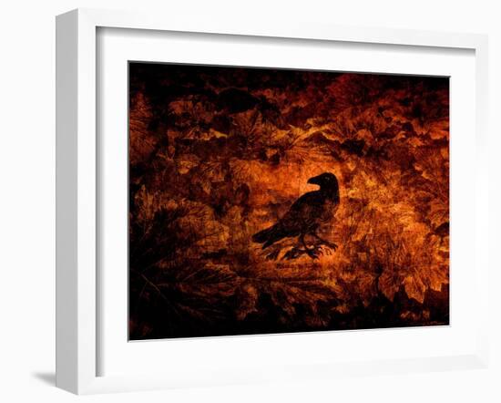 Raven in the Acanthus-Katherine Sanderson-Framed Photographic Print