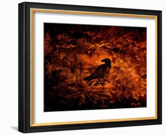 Raven in the Acanthus-Katherine Sanderson-Framed Photographic Print