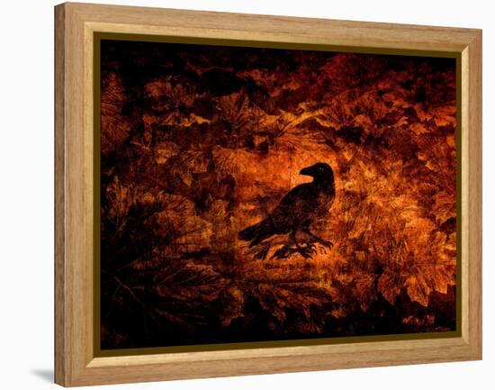 Raven in the Acanthus-Katherine Sanderson-Framed Premier Image Canvas