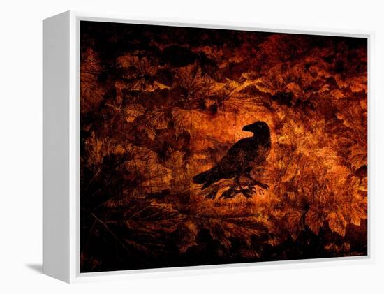 Raven in the Acanthus-Katherine Sanderson-Framed Premier Image Canvas