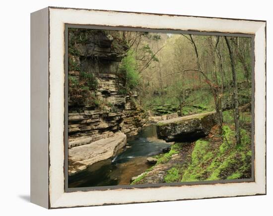 Raven Run Nature Sanctuary, Lexington, Kentucky, USA-Adam Jones-Framed Premier Image Canvas