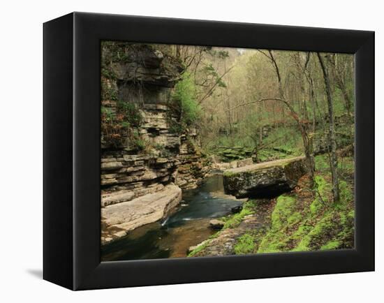 Raven Run Nature Sanctuary, Lexington, Kentucky, USA-Adam Jones-Framed Premier Image Canvas