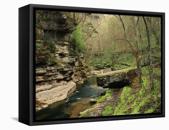 Raven Run Nature Sanctuary, Lexington, Kentucky, USA-Adam Jones-Framed Premier Image Canvas