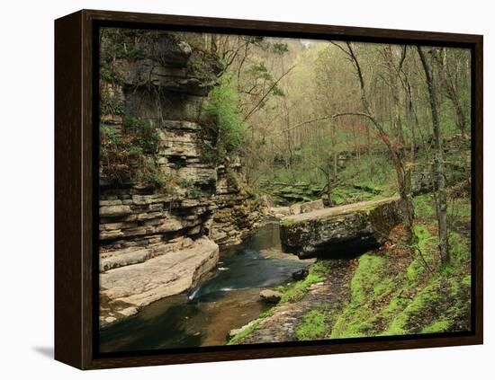 Raven Run Nature Sanctuary, Lexington, Kentucky, USA-Adam Jones-Framed Premier Image Canvas