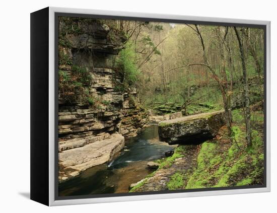 Raven Run Nature Sanctuary, Lexington, Kentucky, USA-Adam Jones-Framed Premier Image Canvas