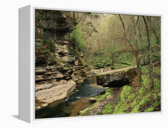 Raven Run Nature Sanctuary, Lexington, Kentucky, USA-Adam Jones-Framed Premier Image Canvas