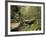 Raven Run Nature Sanctuary, Lexington, Kentucky, USA-Adam Jones-Framed Photographic Print