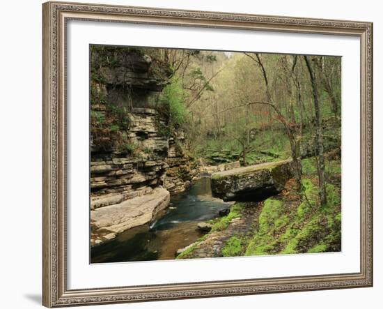 Raven Run Nature Sanctuary, Lexington, Kentucky, USA-Adam Jones-Framed Photographic Print