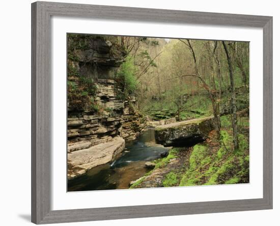 Raven Run Nature Sanctuary, Lexington, Kentucky, USA-Adam Jones-Framed Photographic Print