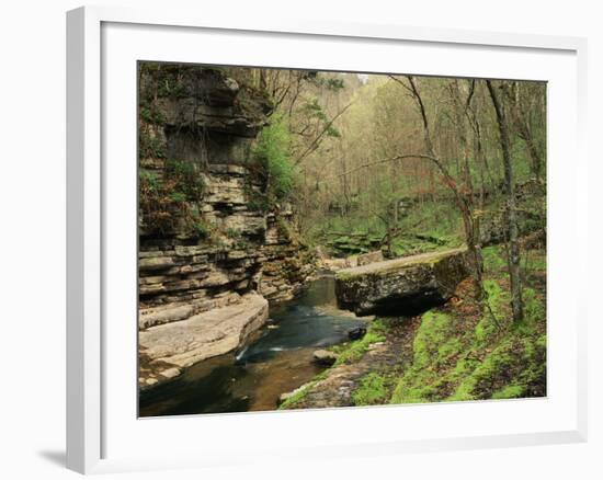 Raven Run Nature Sanctuary, Lexington, Kentucky, USA-Adam Jones-Framed Photographic Print