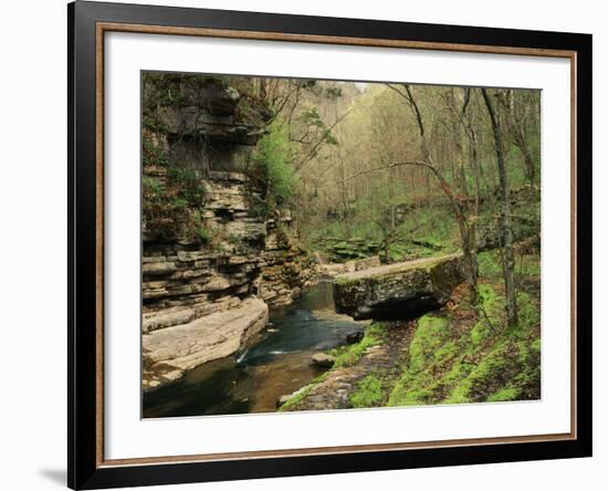 Raven Run Nature Sanctuary, Lexington, Kentucky, USA-Adam Jones-Framed Photographic Print