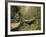 Raven Run Nature Sanctuary, Lexington, Kentucky, USA-Adam Jones-Framed Photographic Print