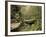 Raven Run Nature Sanctuary, Lexington, Kentucky, USA-Adam Jones-Framed Photographic Print