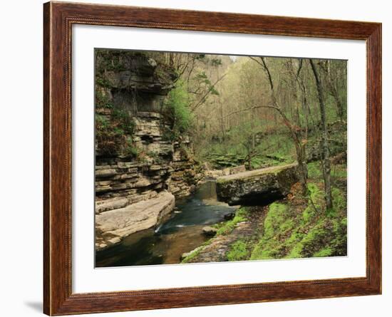 Raven Run Nature Sanctuary, Lexington, Kentucky, USA-Adam Jones-Framed Photographic Print