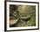 Raven Run Nature Sanctuary, Lexington, Kentucky, USA-Adam Jones-Framed Photographic Print