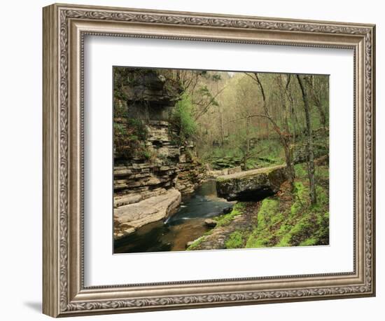 Raven Run Nature Sanctuary, Lexington, Kentucky, USA-Adam Jones-Framed Photographic Print