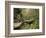 Raven Run Nature Sanctuary, Lexington, Kentucky, USA-Adam Jones-Framed Photographic Print