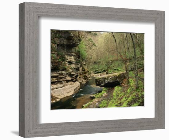 Raven Run Nature Sanctuary, Lexington, Kentucky, USA-Adam Jones-Framed Photographic Print