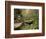 Raven Run Nature Sanctuary, Lexington, Kentucky, USA-Adam Jones-Framed Photographic Print