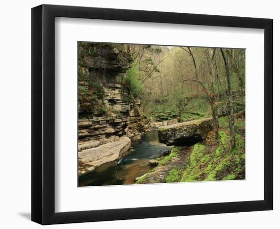 Raven Run Nature Sanctuary, Lexington, Kentucky, USA-Adam Jones-Framed Photographic Print