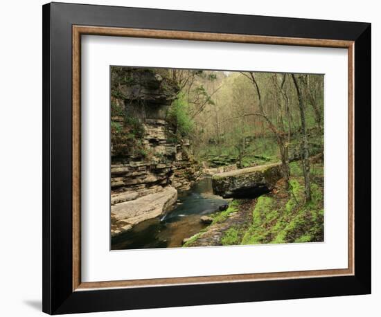 Raven Run Nature Sanctuary, Lexington, Kentucky, USA-Adam Jones-Framed Photographic Print