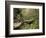 Raven Run Nature Sanctuary, Lexington, Kentucky, USA-Adam Jones-Framed Photographic Print