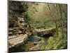 Raven Run Nature Sanctuary, Lexington, Kentucky, USA-Adam Jones-Mounted Photographic Print