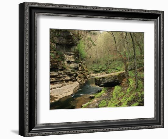 Raven Run Nature Sanctuary, Lexington, Kentucky, USA-Adam Jones-Framed Photographic Print