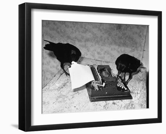 Raven Typing His Own Name of on the Typewriter-Peter Stackpole-Framed Premium Photographic Print