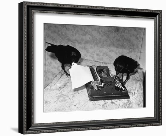 Raven Typing His Own Name of on the Typewriter-Peter Stackpole-Framed Premium Photographic Print