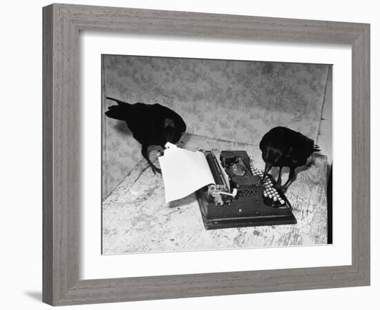 Raven Typing His Own Name of on the Typewriter-Peter Stackpole-Framed Photographic Print