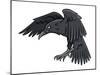 Raven-FunWayIllustration-Mounted Art Print