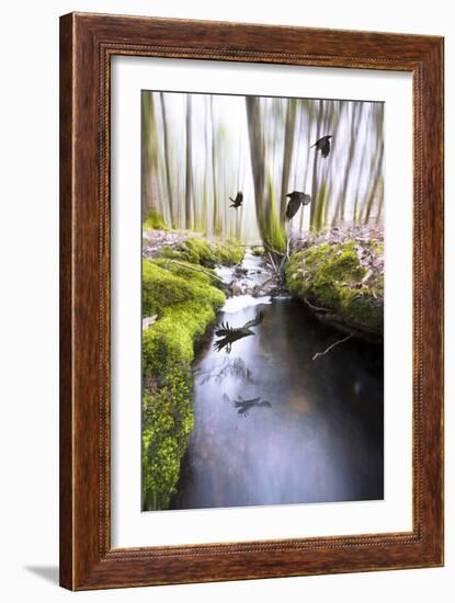 Raven-Viviane Fedieu Daniel-Framed Photographic Print