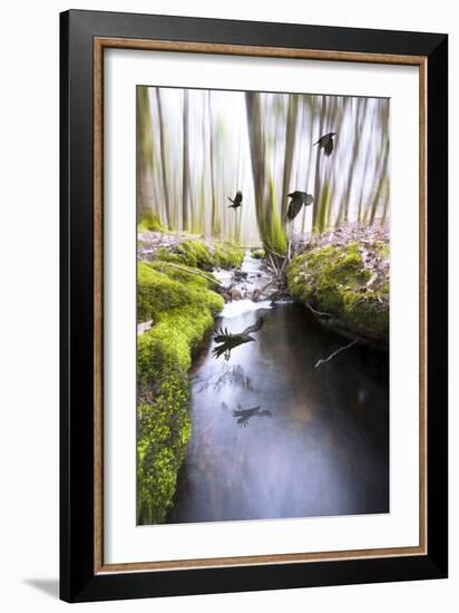 Raven-Viviane Fedieu Daniel-Framed Photographic Print