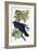 Raven-John James Audubon-Framed Giclee Print