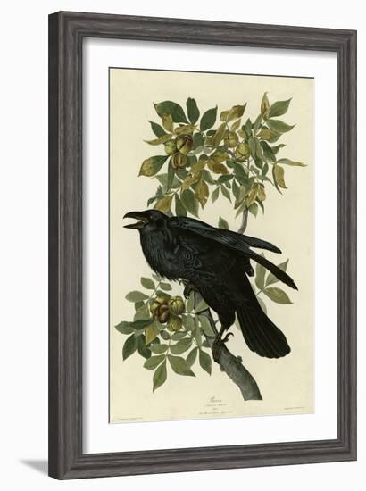 Raven-null-Framed Giclee Print