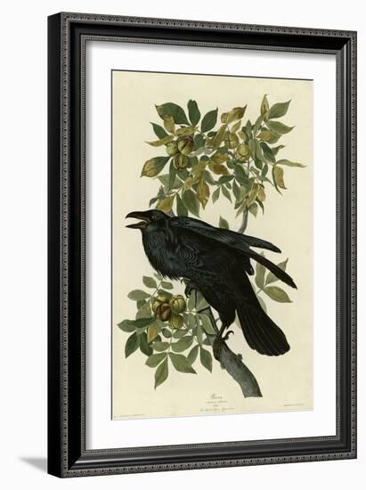 Raven-null-Framed Giclee Print